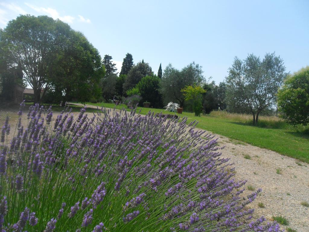Fullino Nero Rta - Residenza Turistico Alberghiera Siena Luaran gambar