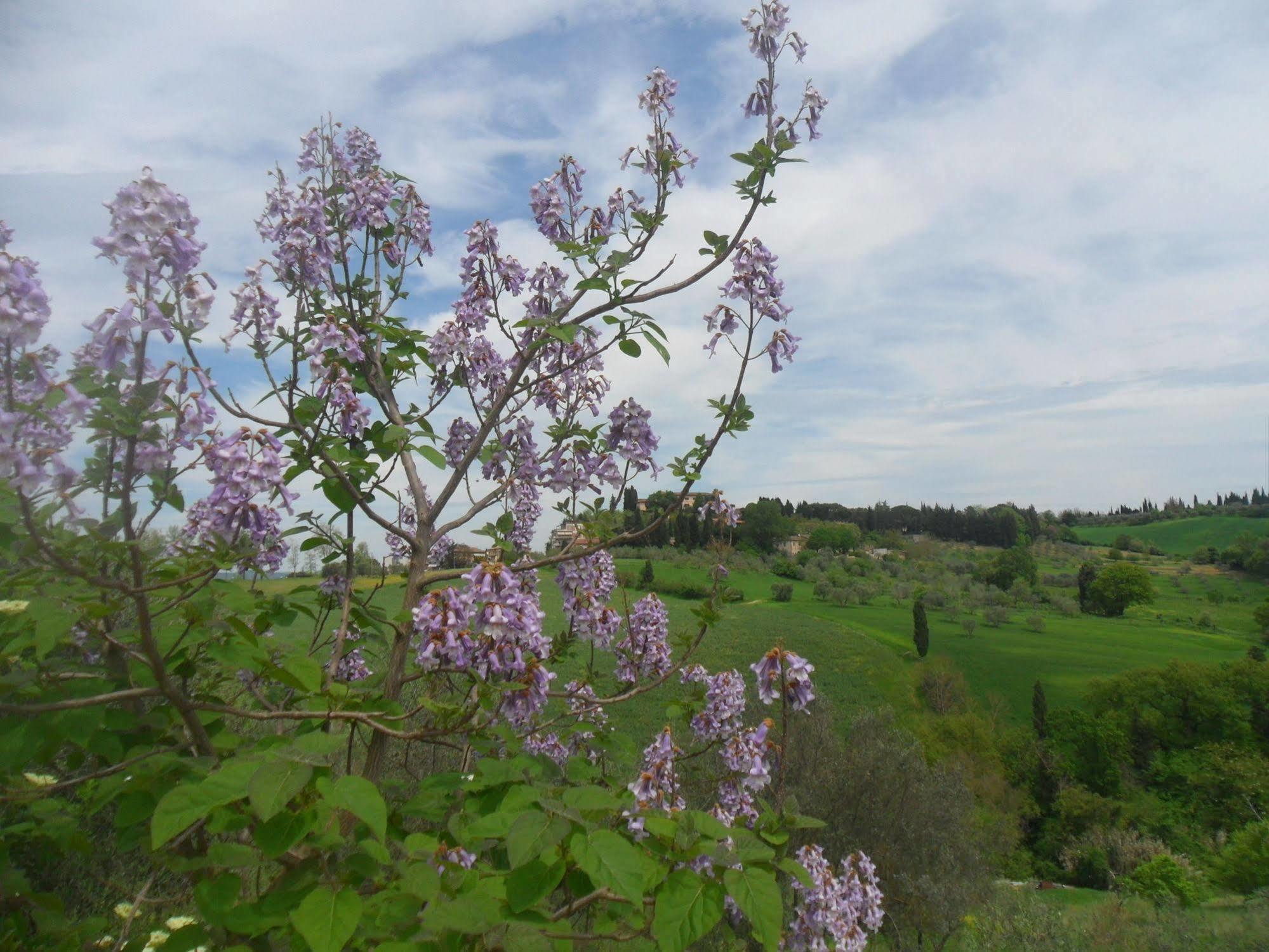 Fullino Nero Rta - Residenza Turistico Alberghiera Siena Luaran gambar